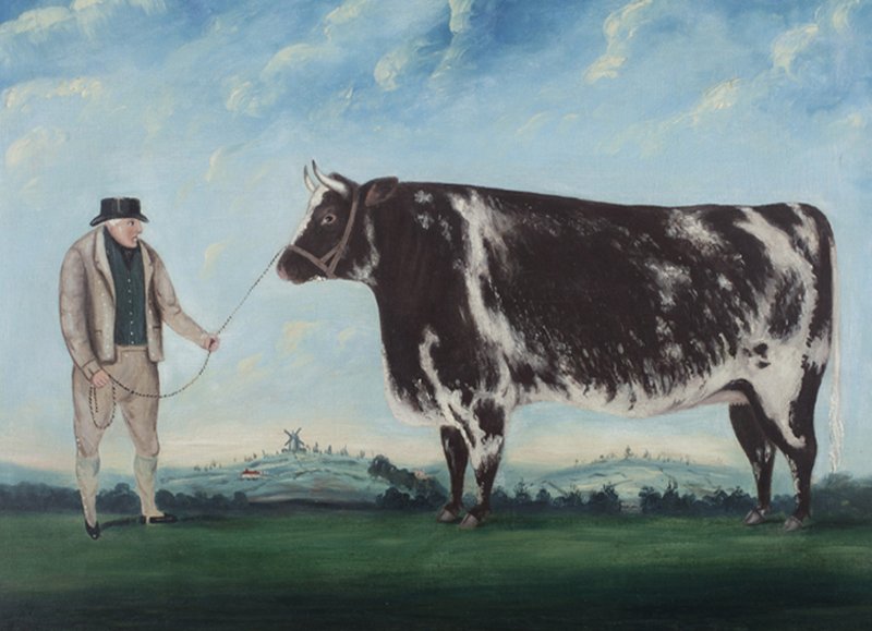 Old painting of a large cow